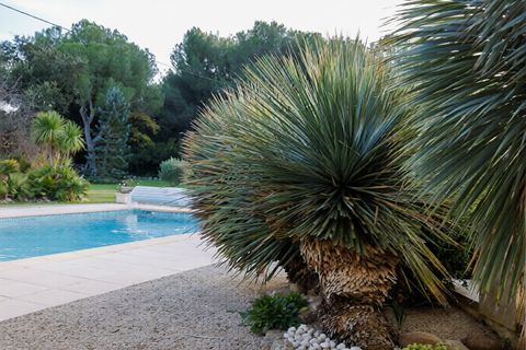 Villa a Saint-Cannat, Bouches-du-Rhone, Saint-Cannat - € 1.295.000 | Ref: HH-16021921 - foto 19