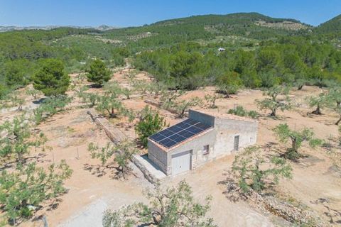 Landejendom i El Perello, Tarragona, El Perello - € 345.000 | Ref: Garrufina/7003 - foto 7