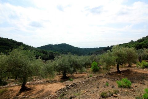 Landejendom i El Perello, Tarragona, El Perello - € 345.000 | Ref: Garrufina/7003 - foto 15