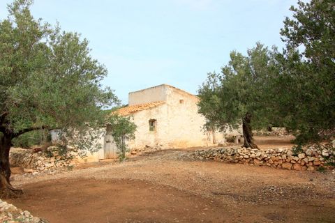 Landejendom i El Perello, Tarragona, El Perello - € 345.000 | Ref: Garrufina/7003 - foto 17