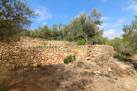 Landejendom i El Perello, Tarragona, El Perello - € 345.000 | Ref: Garrufina/7003 - foto 19