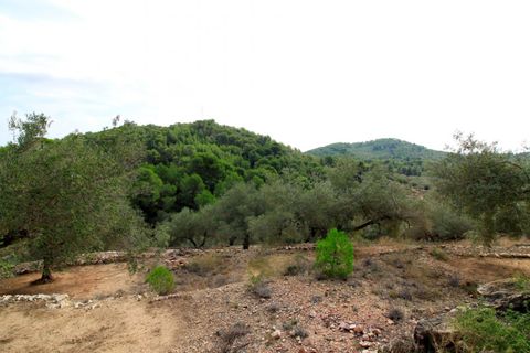 Landejendom i El Perello, Tarragona, El Perello - € 345.000 | Ref: Garrufina/7003 - foto 41