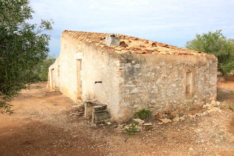 Landejendom i El Perello, Tarragona, El Perello - € 345.000 | Ref: Garrufina/7003 - foto 43