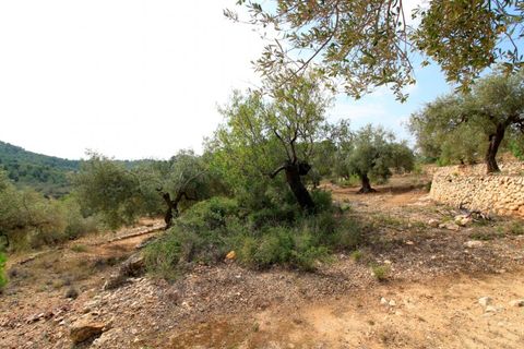 Landejendom i El Perello, Tarragona, El Perello - € 345.000 | Ref: Garrufina/7003 - foto 44