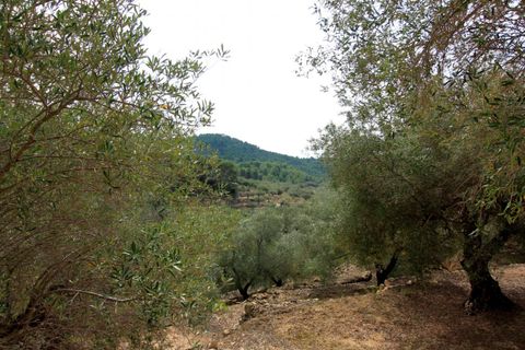 Landejendom i El Perello, Tarragona, El Perello - € 345.000 | Ref: Garrufina/7003 - foto 45