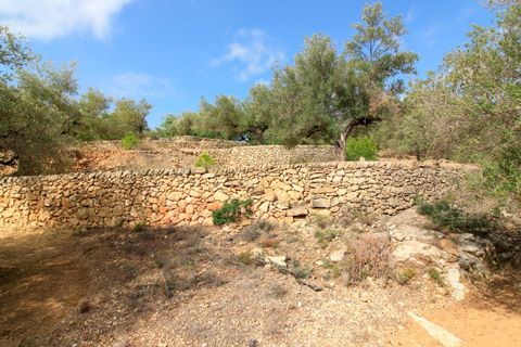 Landejendom i El Perello, Tarragona, El Perello - € 345.000 | Ref: Garrufina/7003 - foto 46