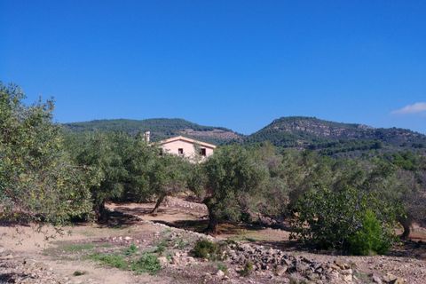Landejendom i El Perello, Tarragona, El Perello - € 345.000 | Ref: Garrufina/7003 - foto 47