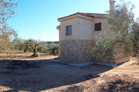 Landejendom i El Perello, Tarragona, El Perello - € 345.000 | Ref: Garrufina/7003 - foto 48