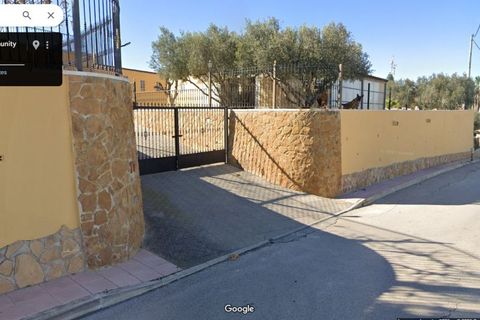 Landejendom i Bigastro, Alicante, Bigastro - € 469.000 | Ref: 43-1435/72963 - foto 11