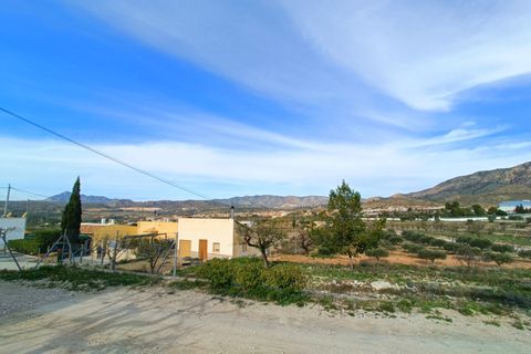 Villa a Barinas, Murcia, Barinas - € 150.000 | Ref: AM-BARJNI - foto 34