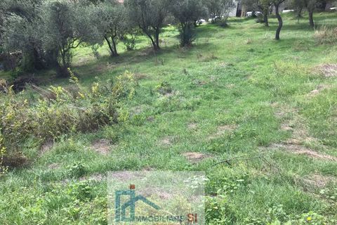 Terra a Cautano, Benevento, Cautano - € 25.000 | Ref: SI12 - foto 3