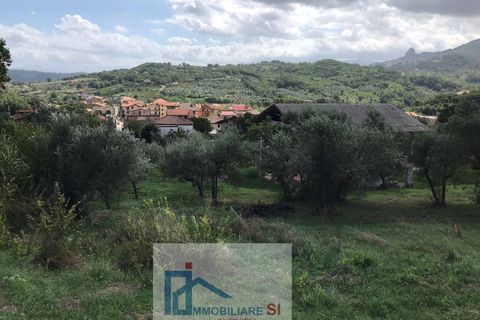 Terra a Cautano, Benevento, Cautano - € 25.000 | Ref: SI12 - foto 4