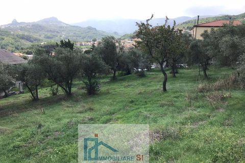 Terra a Cautano, Benevento, Cautano - € 25.000 | Ref: SI12 - foto 6