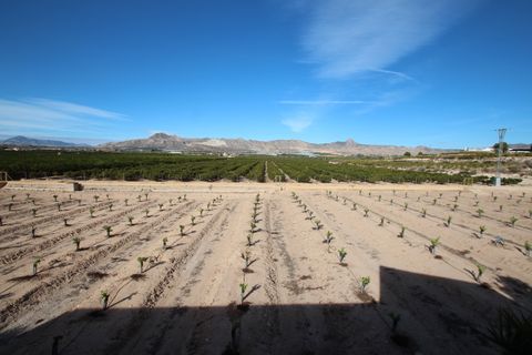 Finca i Murcia, Murcia, Murcia - € 1.499.000 | Ref: 933 - foto 23