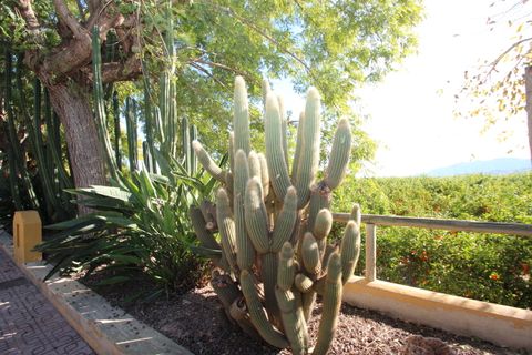 Finca i Murcia, Murcia, Murcia - € 1.499.000 | Ref: 933 - foto 37