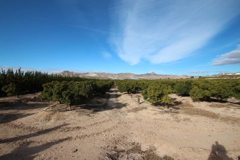 Finca i Murcia, Murcia, Murcia - € 1.499.000 | Ref: 933 - foto 43