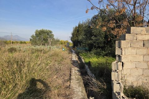 Terra a Rafelcofer, Valencia, Rafelcofer - € 8.500 | Ref: PNPT288 - foto 10