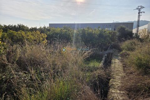 Terra a Rafelcofer, Valencia, Rafelcofer - € 8.500 | Ref: PNPT288 - foto 9