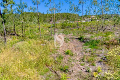 Helårsgrund i Amarante, Porto, Amarante - € 69.500 | Ref: 20251057AG/12937 - foto 7