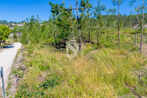 Helårsgrund i Amarante, Porto, Amarante - € 69.500 | Ref: 20251057AG/12937 - foto 8