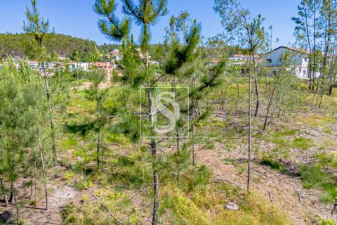Helårsgrund i Amarante, Porto, Amarante - € 69.500 | Ref: 20251057AG/12937 - foto 13