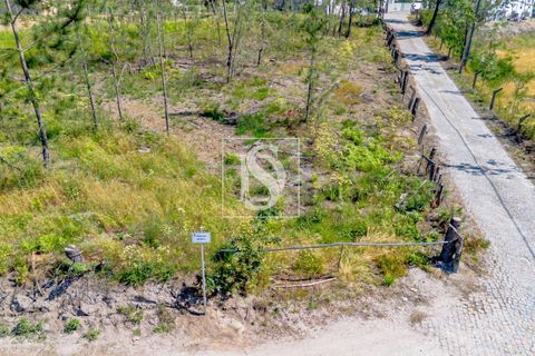 Helårsgrund i Amarante, Porto, Amarante - € 69.500 | Ref: 20251057AG/12937 - foto 17