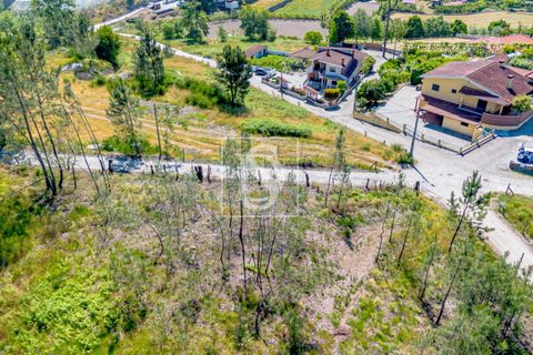 Helårsgrund i Amarante, Porto, Amarante - € 69.500 | Ref: 20251057AG/12937 - foto 19