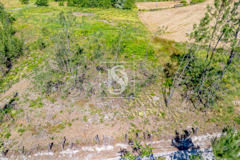 Helårsgrund i Amarante, Porto, Amarante - € 69.500 | Ref: 20251057AG/12937 - foto 20