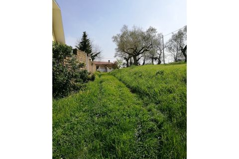 Terra a Pianella, Pescara, Pianella - € 30.000 | Ref: 1837910 - foto 3