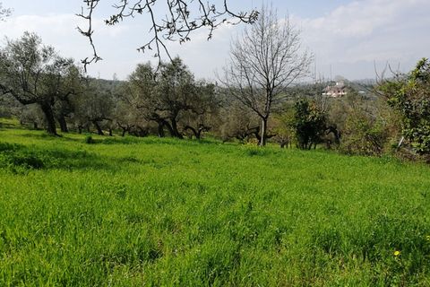 Terra a Pianella, Pescara, Pianella - € 30.000 | Ref: 1837910 - foto 5