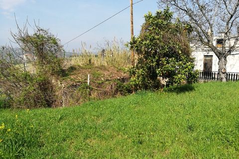 Terra a Pianella, Pescara, Pianella - € 30.000 | Ref: 1837910 - foto 6