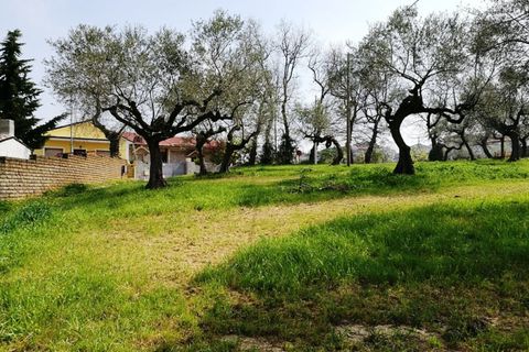Terra a Pianella, Pescara, Pianella - € 30.000 | Ref: 1837910 - foto 7