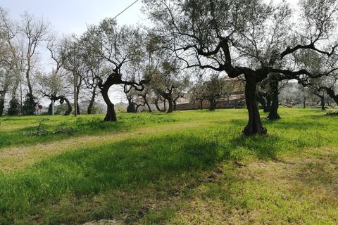 Terra a Pianella, Pescara, Pianella - € 30.000 | Ref: 1837910 - foto 8