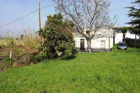 Terra a Pianella, Pescara, Pianella - € 30.000 | Ref: 1837910 - foto 10