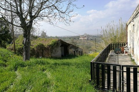 Terra a Pianella, Pescara, Pianella - € 30.000 | Ref: 1837910 - foto 13