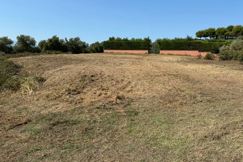 Terra a Spoltore, Pescara, Spoltore - € 350.000 | Ref: 1844134 - foto 2