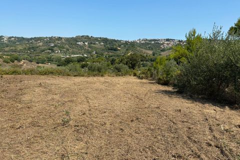 Terra a Spoltore, Pescara, Spoltore - € 350.000 | Ref: 1844134 - foto 4