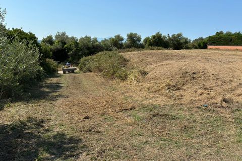 Terra a Spoltore, Pescara, Spoltore - € 350.000 | Ref: 1844134 - foto 5