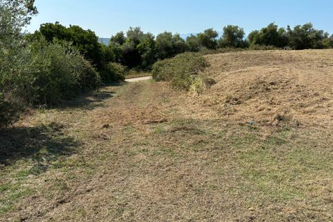 Terra a Spoltore, Pescara, Spoltore - € 350.000 | Ref: 1844134 - foto 6