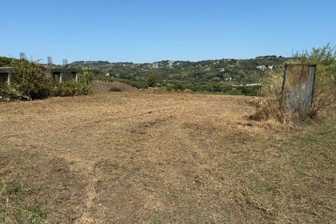 Terra a Spoltore, Pescara, Spoltore - € 350.000 | Ref: 1844134 - foto 7