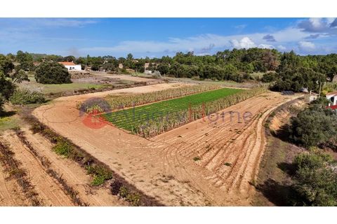 Helårsgrund i Rogil, Faro, Rogil - € 135.000 | Ref: TER_364 - foto 1