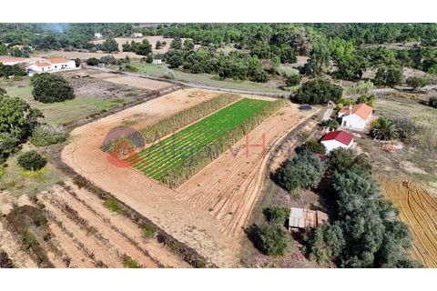 Helårsgrund i Rogil, Faro, Rogil - € 135.000 | Ref: TER_364 - foto 3