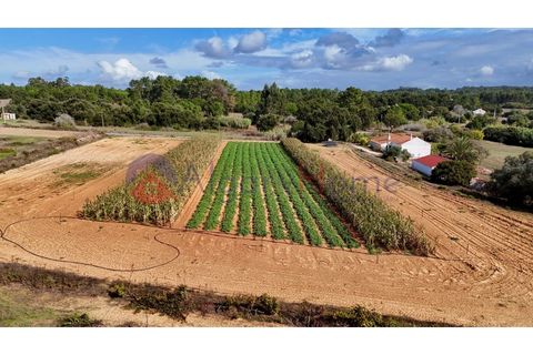 Helårsgrund i Rogil, Faro, Rogil - € 135.000 | Ref: TER_364 - foto 4