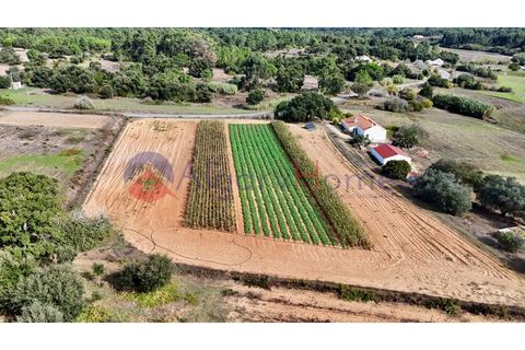 Helårsgrund i Rogil, Faro, Rogil - € 135.000 | Ref: TER_364 - foto 5