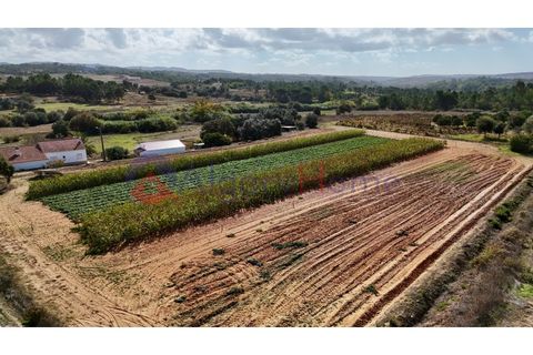 Helårsgrund i Rogil, Faro, Rogil - € 135.000 | Ref: TER_364 - foto 6