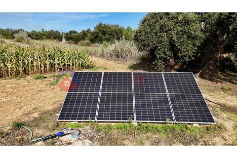 Helårsgrund i Rogil, Faro, Rogil - € 135.000 | Ref: TER_364 - foto 8