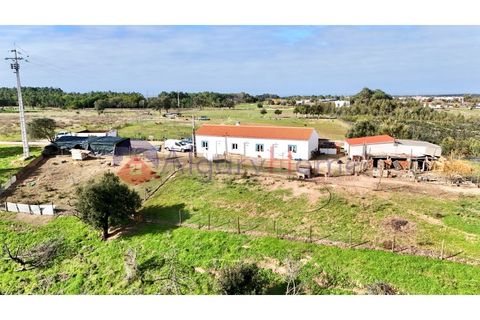 Landejendom i Odeceixe, Faro, Odeceixe - € 890.000 | Ref: CAS_362 - foto 13