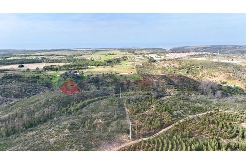 Landejendom i Odeceixe, Faro, Odeceixe - € 890.000 | Ref: CAS_362 - foto 40