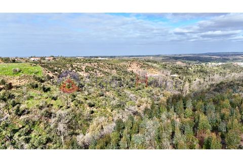 Landejendom i Odeceixe, Faro, Odeceixe - € 890.000 | Ref: CAS_362 - foto 42