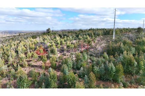 Landejendom i Odeceixe, Faro, Odeceixe - € 890.000 | Ref: CAS_362 - foto 43